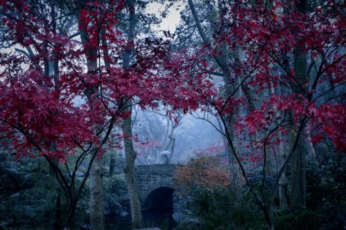 纪念 七月廿一 普庵祖师圆寂日 普庵到此 百无禁忌